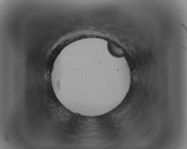 X0000091241495200709061529