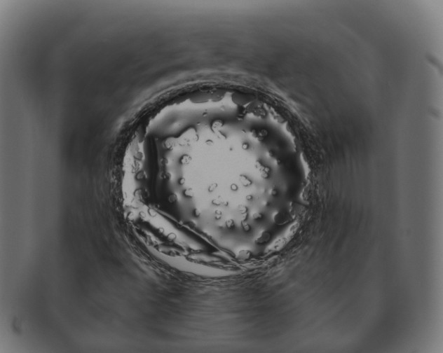 X0000091241496200709061529