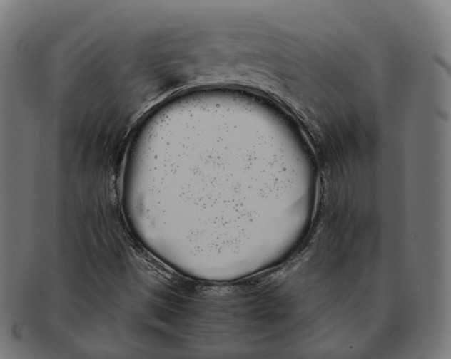 X0000091241497200709061529