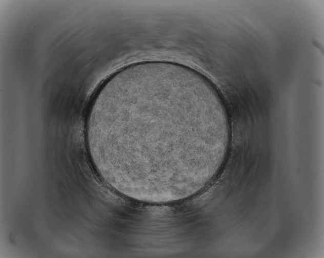 X0000091241498200709061529