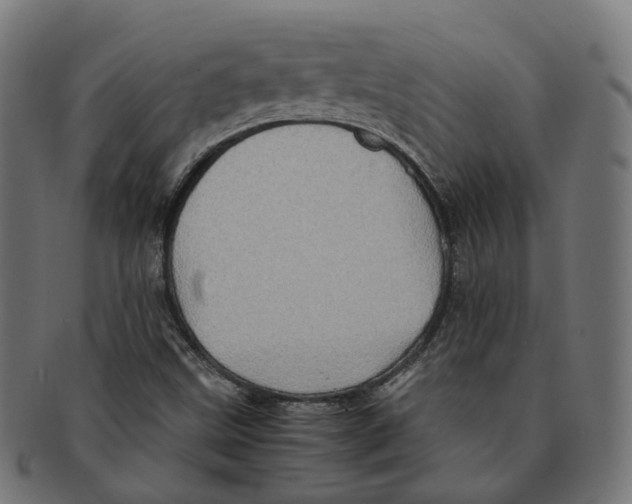 X0000091241499200709061529