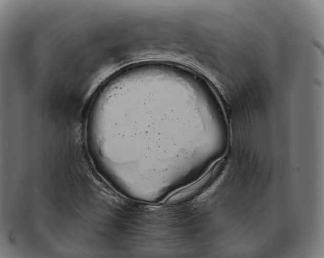 X0000091241501200709061529