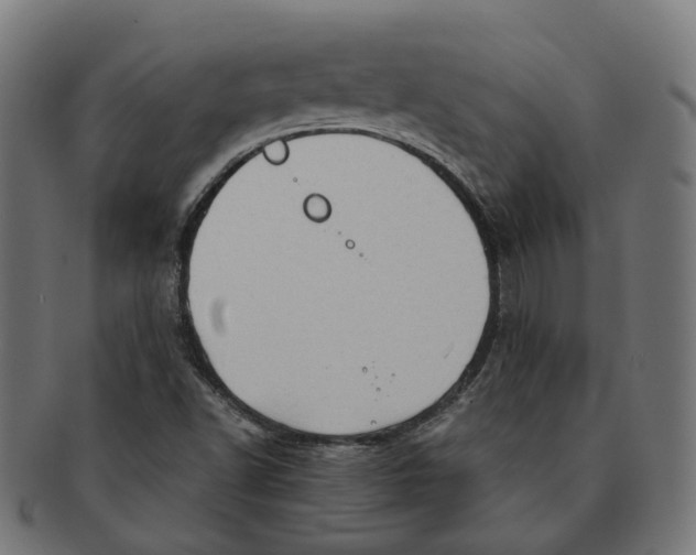 X0000091241502200709061529