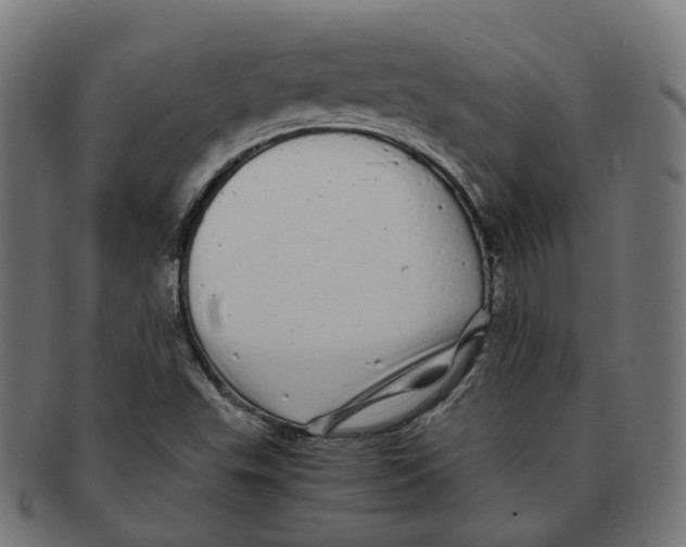 X0000091241503200709061529