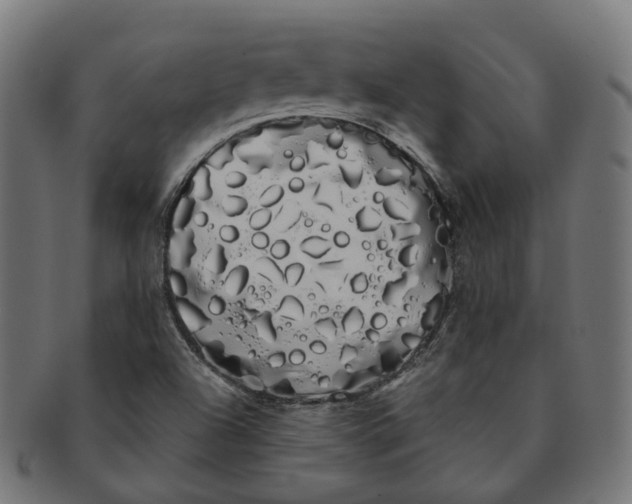 X0000091241504200709061529