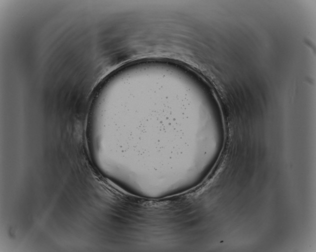 X0000091241505200709061529