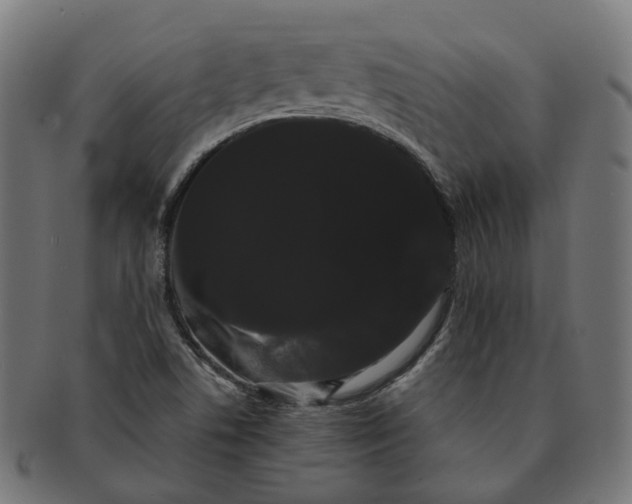 X0000091241506200709061529