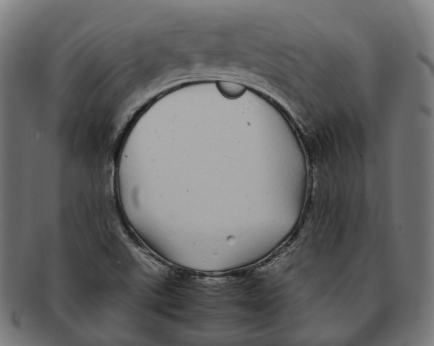 X0000091241507200709061529