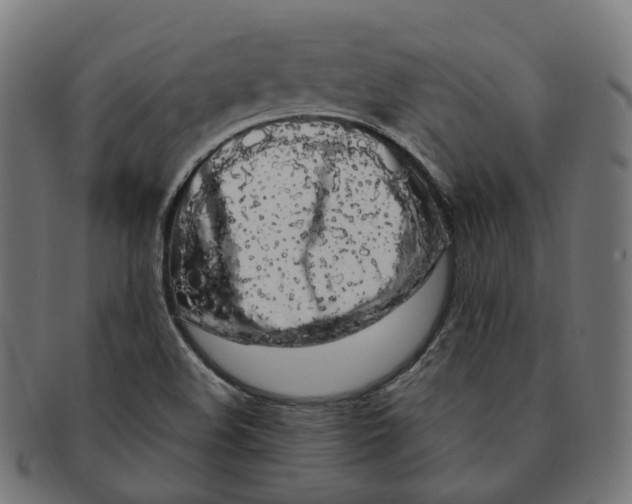 X0000091241508200709061529