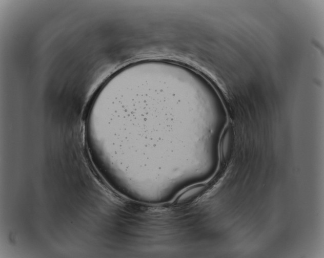 X0000091241509200709061529