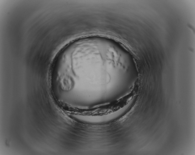 X0000091241510200709061529