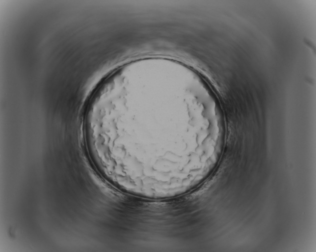 X0000091241511200709061529