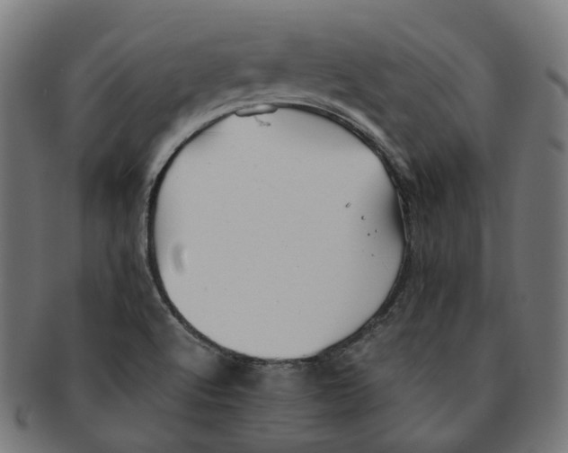 X0000091241512200709061529