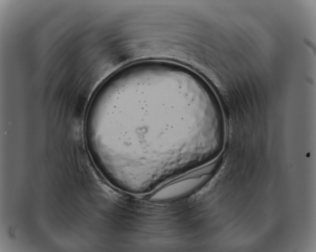 X0000091241513200709061529