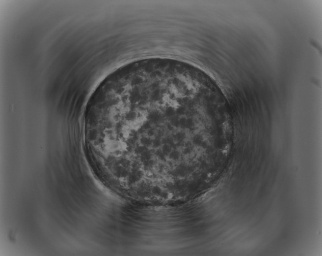 X0000091241515200709061529