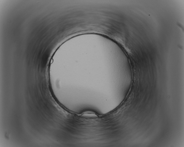 X0000091241516200709061529