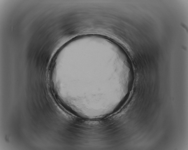 X0000091241517200709061529