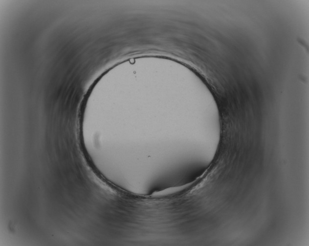 X0000091241518200709061529