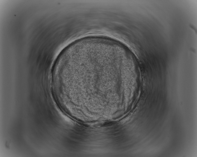 X0000091241519200709061529