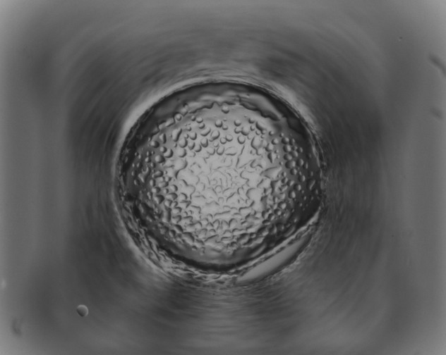 X0000091241520200709061529