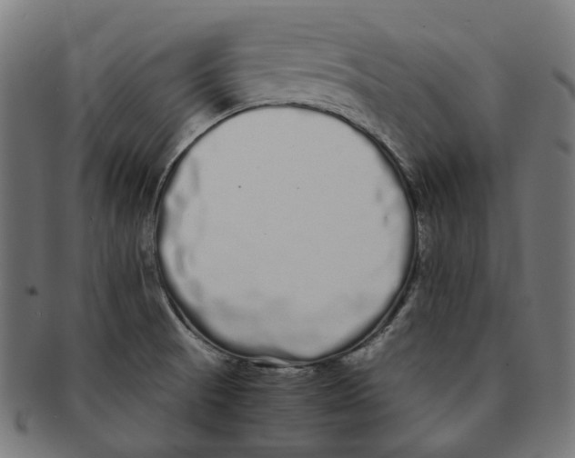 X0000091241521200709061529