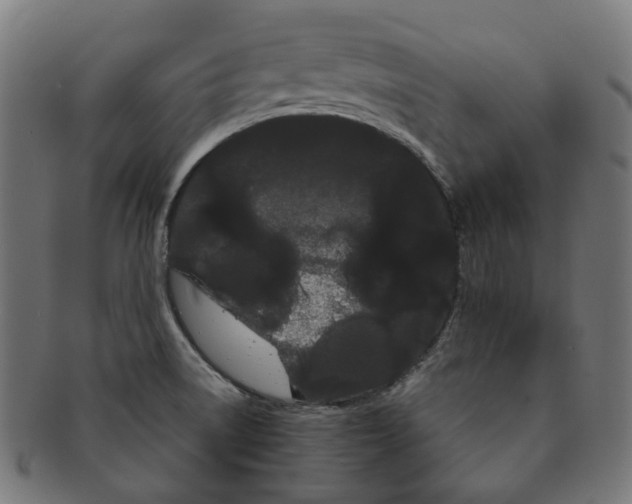 X0000091241522200709061529