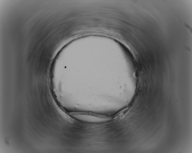 X0000091241523200709061529