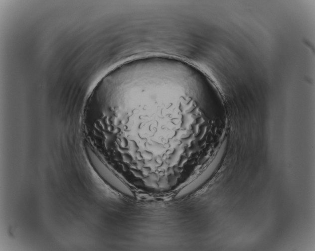 X0000091241524200709061529