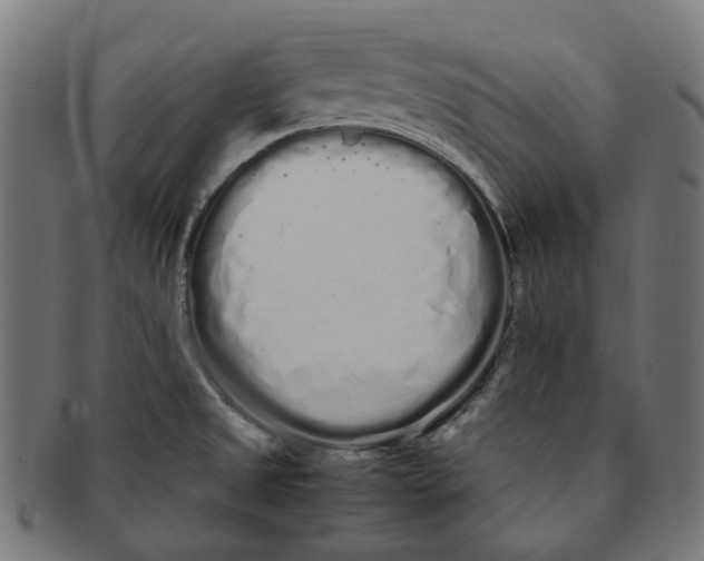 X0000091241525200709061529