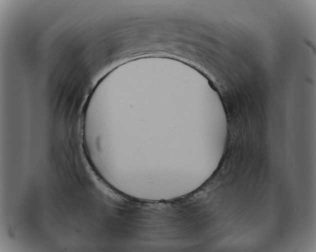 X0000091241526200709061529