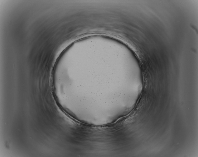 X0000091241527200709061529