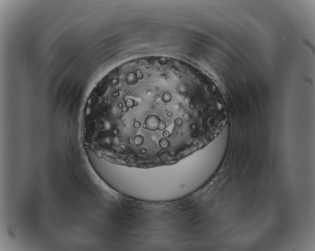 X0000091241528200709061529