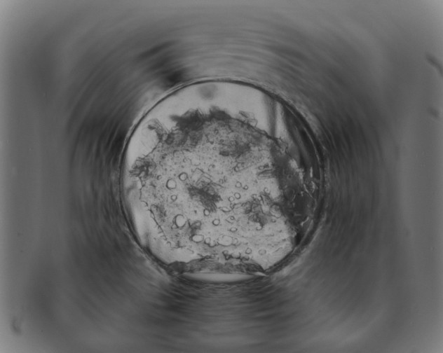 X0000091241529200709061529