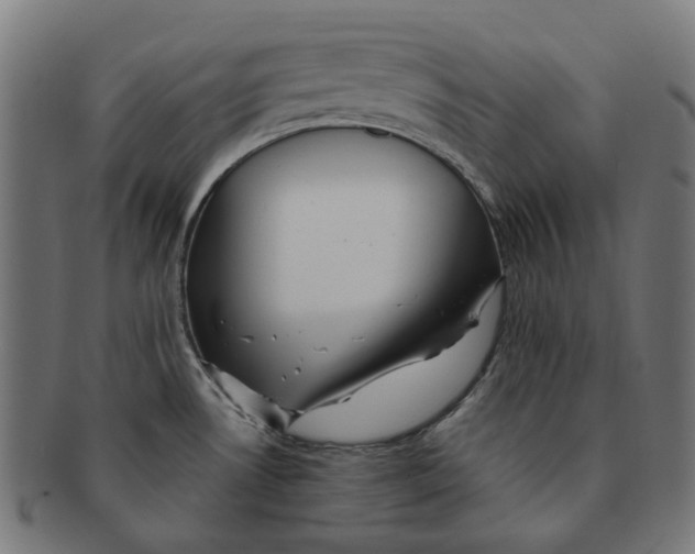 X0000091241530200709061529