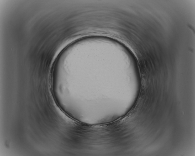 X0000091241531200709061529