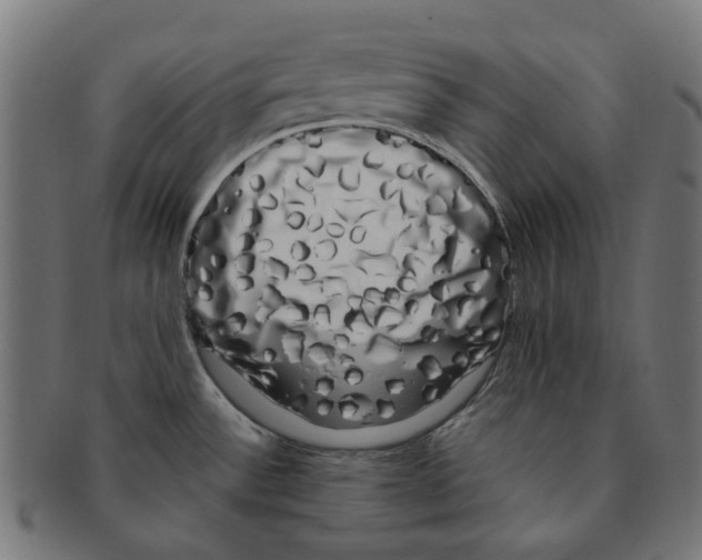 X0000091241532200709061529