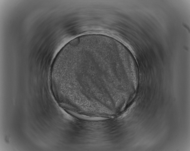 X0000091241533200709061529