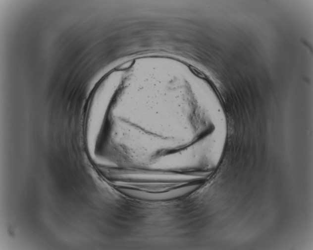 X0000091241534200709061529