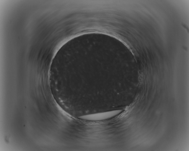 X0000091241535200709061529