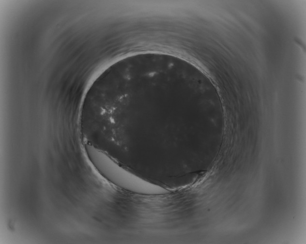 X0000091241536200709061529