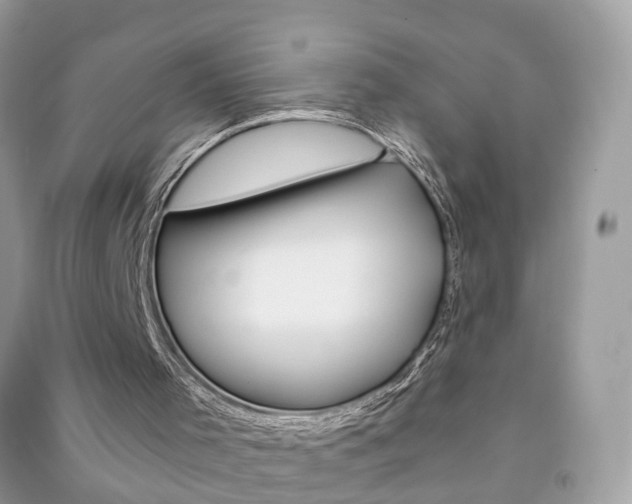 X0000091290001200708101036