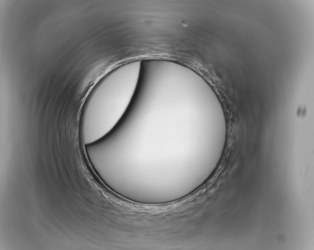 X0000091290002200708101036