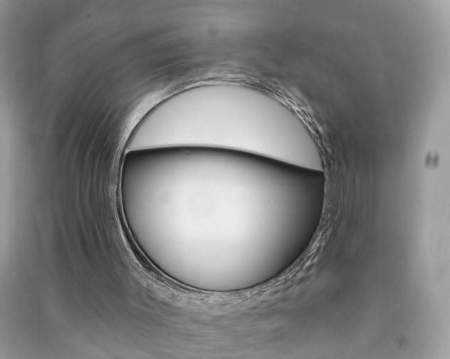 X0000091290003200708101036