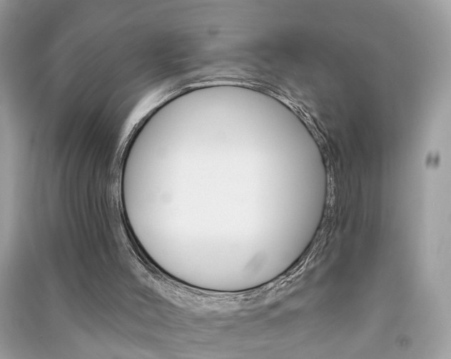 X0000091290004200708101036