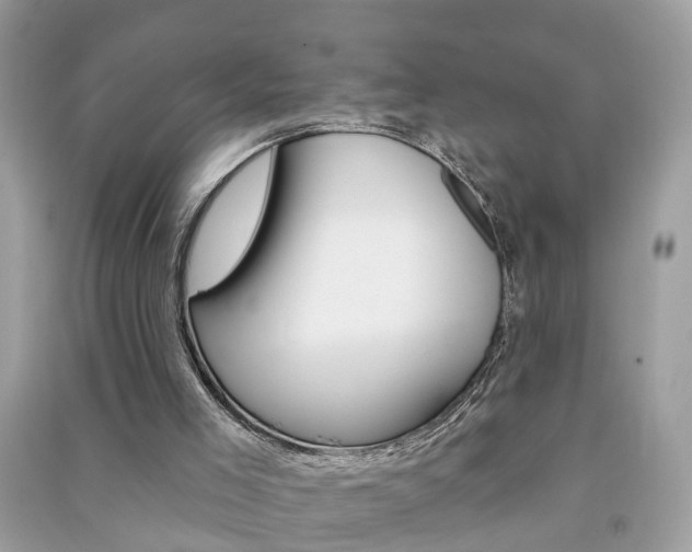 X0000091290005200708101036