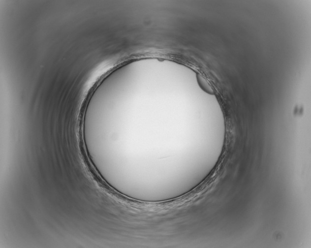 X0000091290006200708101036