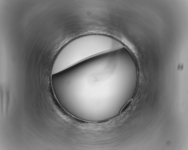 X0000091290009200708101036