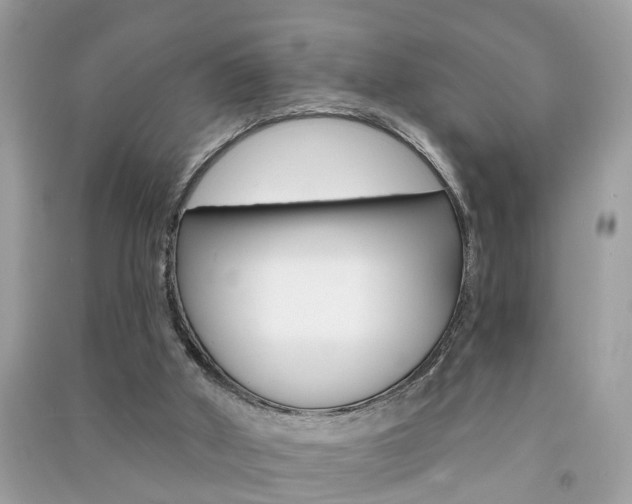 X0000091290010200708101036