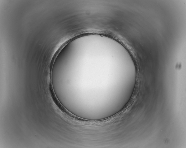 X0000091290011200708101036