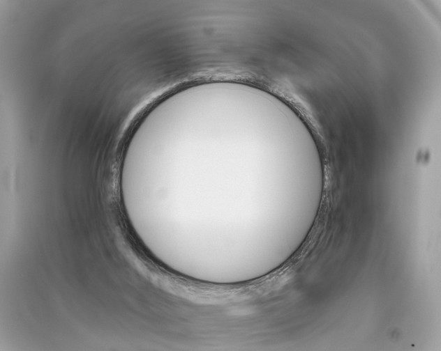 X0000091290012200708101036